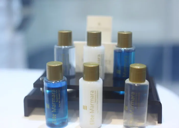 호텔 Elite Marmara Gungoren 3*