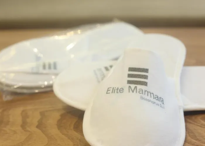 Hotel Elite Marmara Gungoren 3*