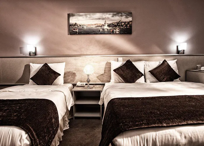 Hotel Elite Marmara Gungoren 3*